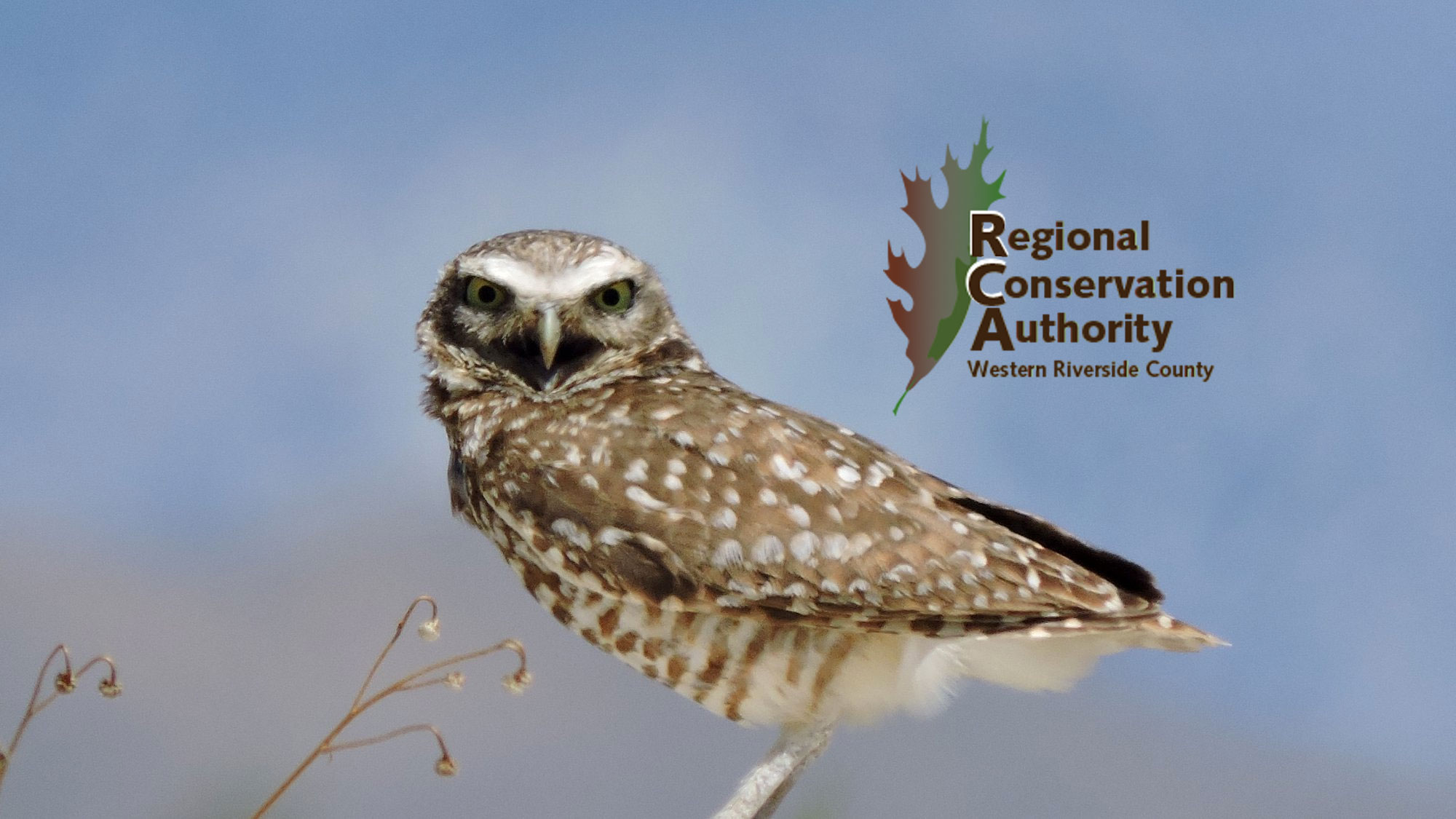 Western Riverside Conservation Authority