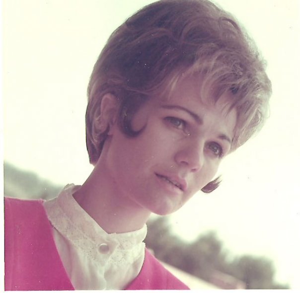 Suzanne Lee Heminger